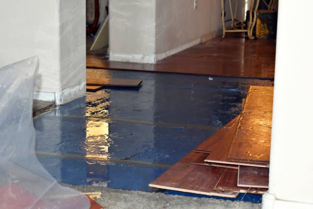 Professional Basement Flood Cleanup technician working in Auburndale, MA